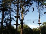 park in the trees and tree climbing adventure in the forest: leisure activities for children and adolescents in Pleumeur Bodou Brittany