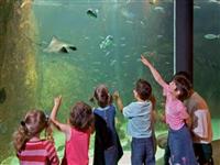 Recreational facilities for families near Perros-Guirec