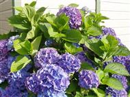 Vacation rentals in Brittany