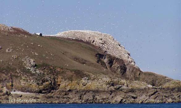 cruises and trips to the Seven Islands, an archipelago protected nature reserve Perros-Guirec - Stereden, Village de Chalets