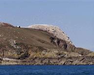 cruises and trips to the Seven Islands, an archipelago protected nature reserve Perros-Guirec