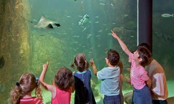 Recreational facilities for families near Perros-Guirec - Stereden, Village de Chalets