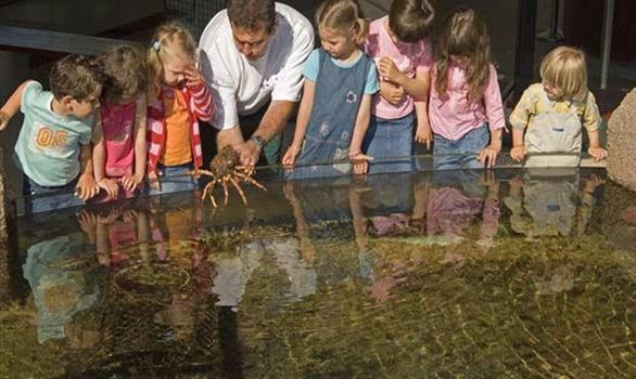 The Marine Aquarium in Trégastel - Stereden, Village de Chalets