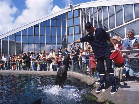 Océanopolis, huge marine aquarium in Brittany - Stereden, Village de Chalets