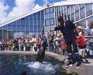 Océanopolis, huge marine aquarium in Brittany