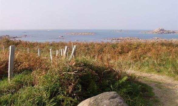 Landrellec on the Pink Granit Coast - Stereden, Village de Chalets
