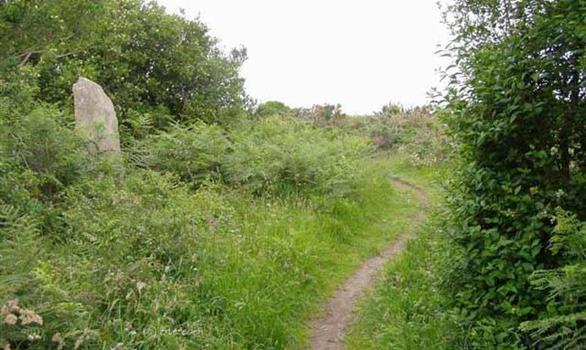 Pleumeur-Bodou: GR34 hiking trail on the site's natural Bringwiller - Stereden, Village de Chalets