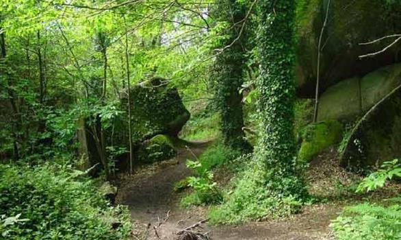 Walks in a natural and protected: the Traouieros's valley in Trégastel - Stereden, Village de Chalets