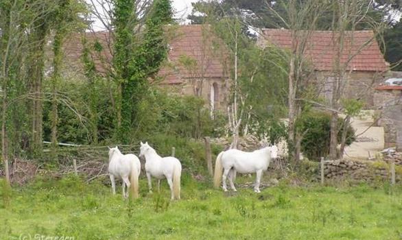 Pleumeur Bodou dans les Côtes d'Armor en BRETAGNE - Stereden, Village de Chalets