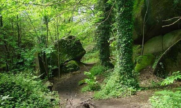 Discover Brittany - Stereden, Village de Chalets
