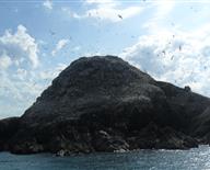 Grand Site de Ploumanac'h : visite à bord des vedettes des Sept-Îles