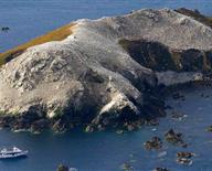 Natural Réserve of the 7 islands of Perros-Guirec : Rouzic island, 